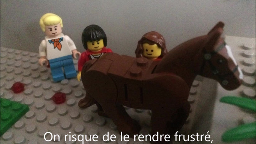 Le Mépris avec les Poneys